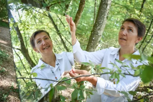 Stéphanie Drieu psycho nutritionniste à Audincourt est visible 2 fois. Elle tient un miroir qui reflète son image souriante et confiante. Son regard sur le portrait qui tient le miroir est sans sourire et le regard vers le haut dans le vague. Elle est dans un forêt, nature ensoleillée et ressourçante.